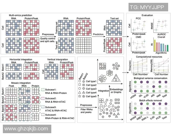 重庆足球队在钻石联赛中的心理素质分析与表现评估